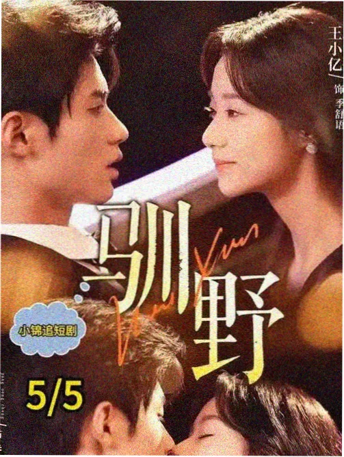 西瓜影院电视剧破晓之前封面